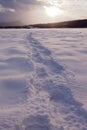 Snowshoe prints trail on snowy frozen lake surface Royalty Free Stock Photo