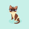 Snowshoe siamese grumpy kitten isolated on a blue background. Vector cartoon illustration. Royalty Free Stock Photo