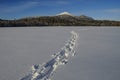Snowshoe Tracks Across Connery Pond With Whiteface Mountain In T Royalty Free Stock Photo