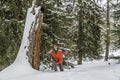 Snowshoe walking in the forest