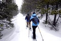 Snowshoeing