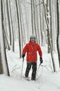 Snowshoeing in a Canadian forest during a heavy snow squall