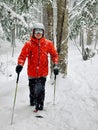 Snowshoeing in a Canadian forest during a snow squall