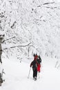 Snowshoeing in a forest