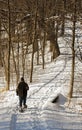 Snowshoeing on the Forest Trail Royalty Free Stock Photo