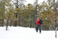 Snowshoeing in Killarney Provincial Park, Ontario Royalty Free Stock Photo