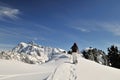 Snowshoeing in Mt Baker