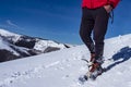 Snowshoeing scene in the italian alps Royalty Free Stock Photo
