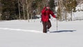 Snowshoeing in the Uintas, Utah