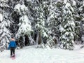 A snowshoer walking and admiring the stunning beauty of the winter landscape on Cypress Mountain