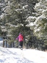 Snowshoer on winter trail