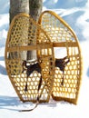 Snowshoes