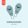 snowshoes design vector icon flat vector illustration template icons