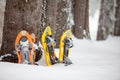 Snowshoes left in front of orange tent in winter forest