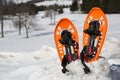 Snowshoes on the snow in the mountains in winter after discussio