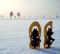 Snowshoes in a snowy landscape