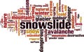 Snowslide word cloud