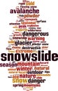 Snowslide word cloud