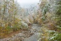 Snowstorm in autumn, Smoky Mtn. N.P.