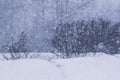 Snowstorm in countryside in wintertime Royalty Free Stock Photo