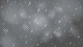 Snowstorm and falling snowflakes Royalty Free Stock Photo