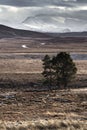 Snowstorm over the Cairngorm Mountains from Dava Moor in Scotland. Royalty Free Stock Photo