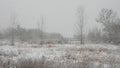 Snowstorm over a peaceful quiet country meadow field Royalty Free Stock Photo