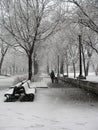 Snowstorm in park in Montreal Royalty Free Stock Photo