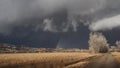 Snowstorm and Rainbow Horizon