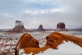 Snowstorm sweeps through Monument Valley Royalty Free Stock Photo