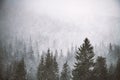 Snowstorm in winter mountains Royalty Free Stock Photo