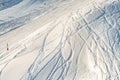 Snowy abstract off-piste skiing backround with ski and snowboard trails and tracks on new virgin powder snow. morning sunrise or Royalty Free Stock Photo