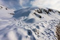 Snowy Alborz mountains