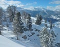 Snowy Alps Mountain
