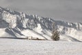 Snowy Altai mountains at winter time