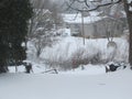 Snowy Back Yard