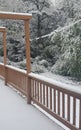 Snowy wooden porch with snow covered trees