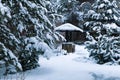 Snowy Backyard Patio.Winter Landscape with barbeque area, snowbanks of white snow, pine trees in country garden.