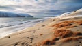 Golden Hues: A Snowy Beach In The Arctic Fox Region Royalty Free Stock Photo