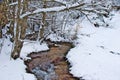 Snowy beech and pine forest in late winter, Sila National Park, Calabria, southern Italy Royalty Free Stock Photo