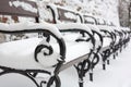 Snowy benches in a row Royalty Free Stock Photo