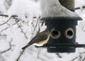 Snowy Bird Feeder