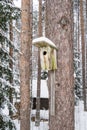 Snowy bird house on a pine tree. Wooden aviary of timber. Nest box in the forest, natural winter background pattern. Royalty Free Stock Photo