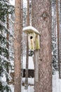 Snowy bird house on a pine tree. Wooden aviary of timber. Nest box in the forest, natural winter background pattern.