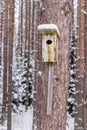 Snowy bird house on a pine tree. Wooden aviary of timber. Nest box in the forest,