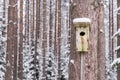 Snowy bird house on a pine tree. Wooden aviary of timber. Nest box in the forest,