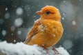 Snowy birding outing Nature enthusiasts appreciating winter wildlife in action