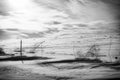 Snowy Black & White Rural Colorado Landscape with Tumbleweeds & Barbed Wire Royalty Free Stock Photo