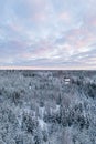 Snowy boreal forest and a cabin deep in the taiga. House in the woods Royalty Free Stock Photo