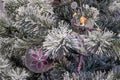 Snowy branch of christmas tree with violet gray christmas original decorations closeup.